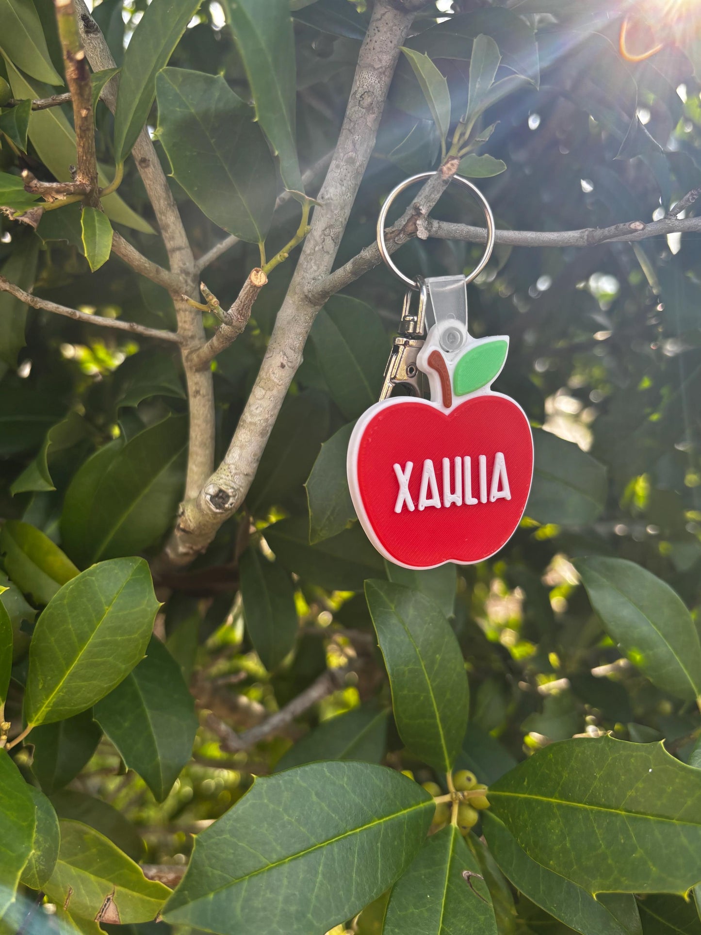 Personalized Apple NFC Tag Keychain | Teacher Gift | Smart Keychain Badge Holder