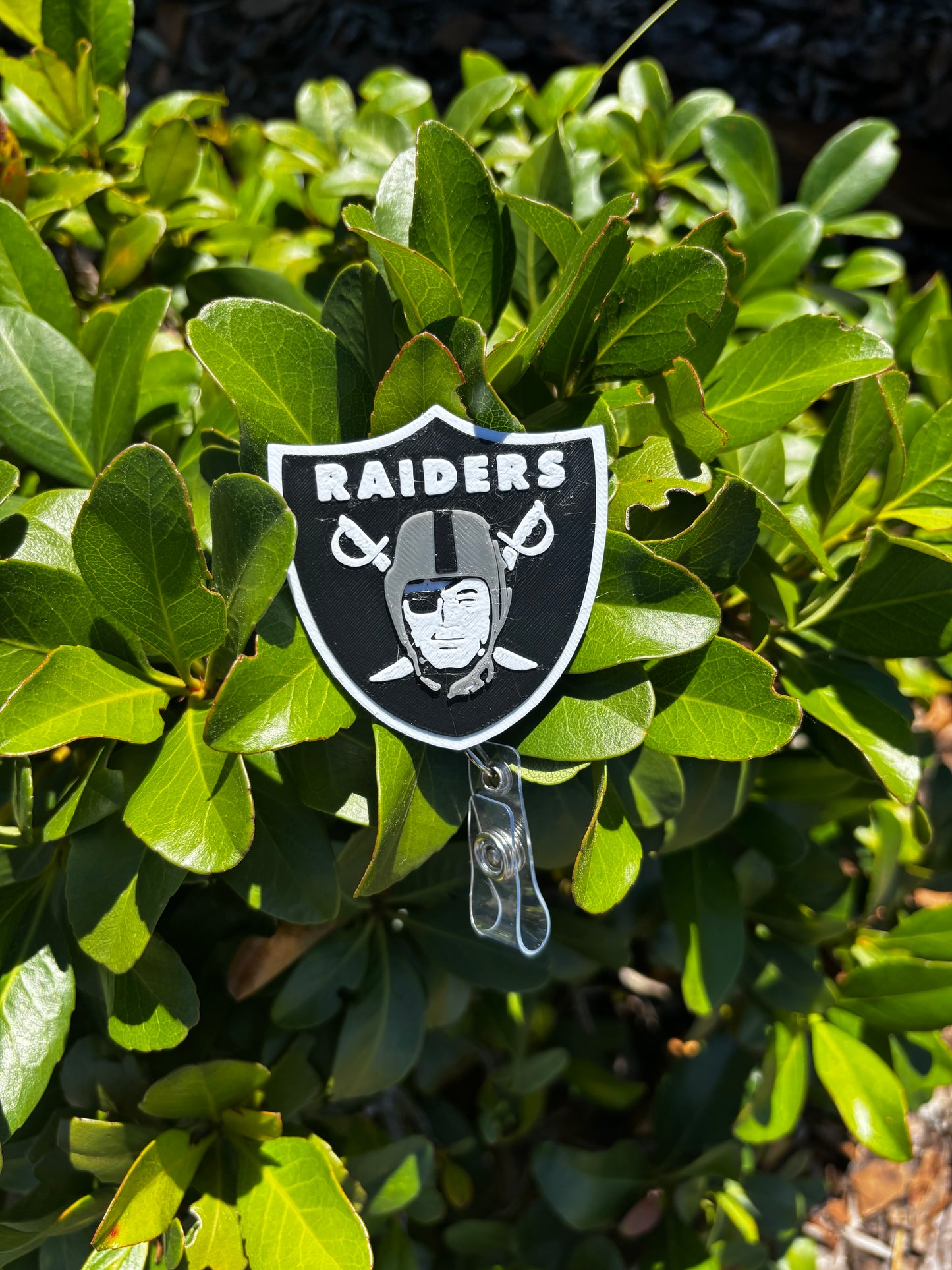 Las Vegas Raiders Badge Reel