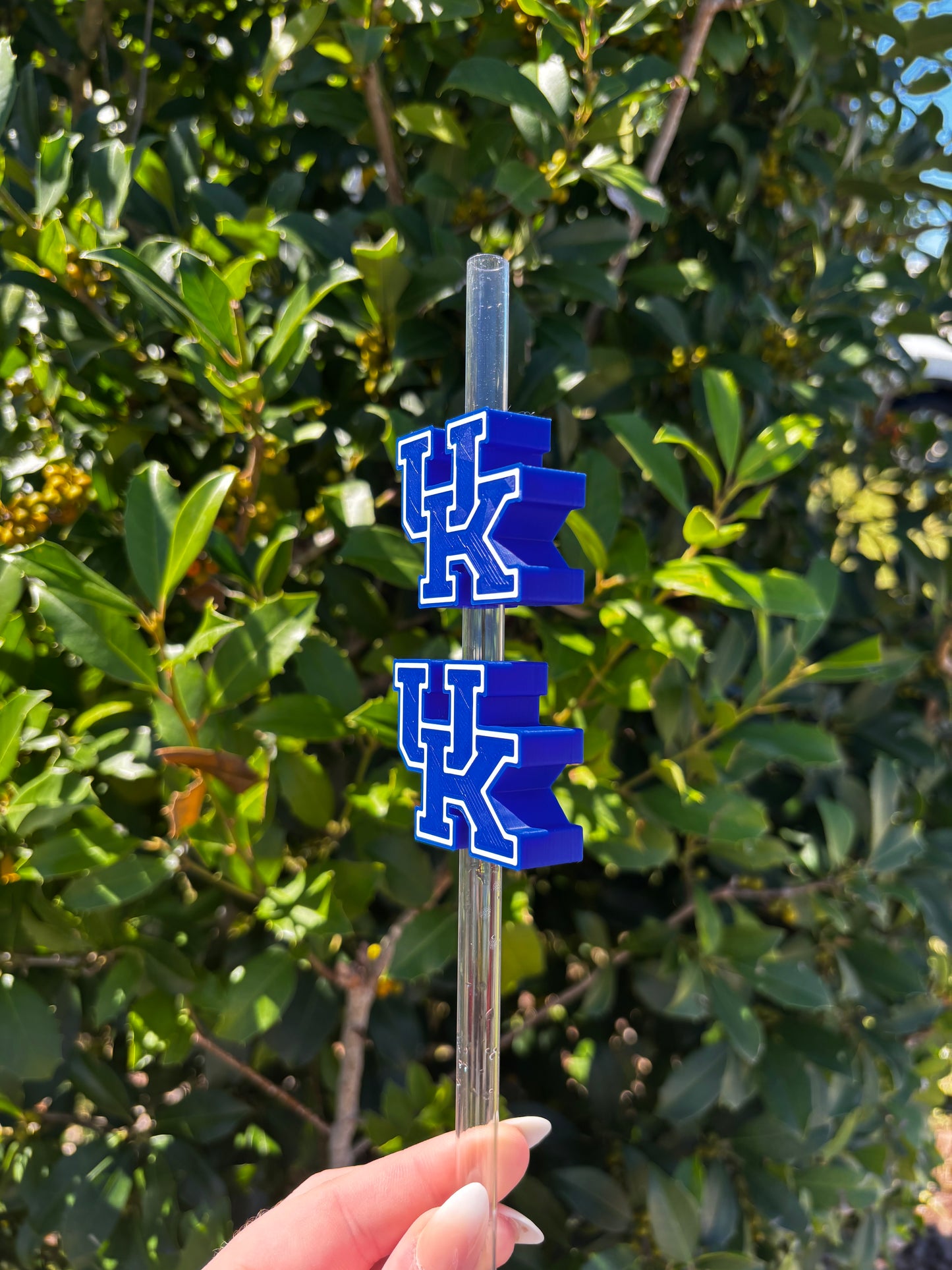 Kentucky Wildcats UK Stanley Straw Topper