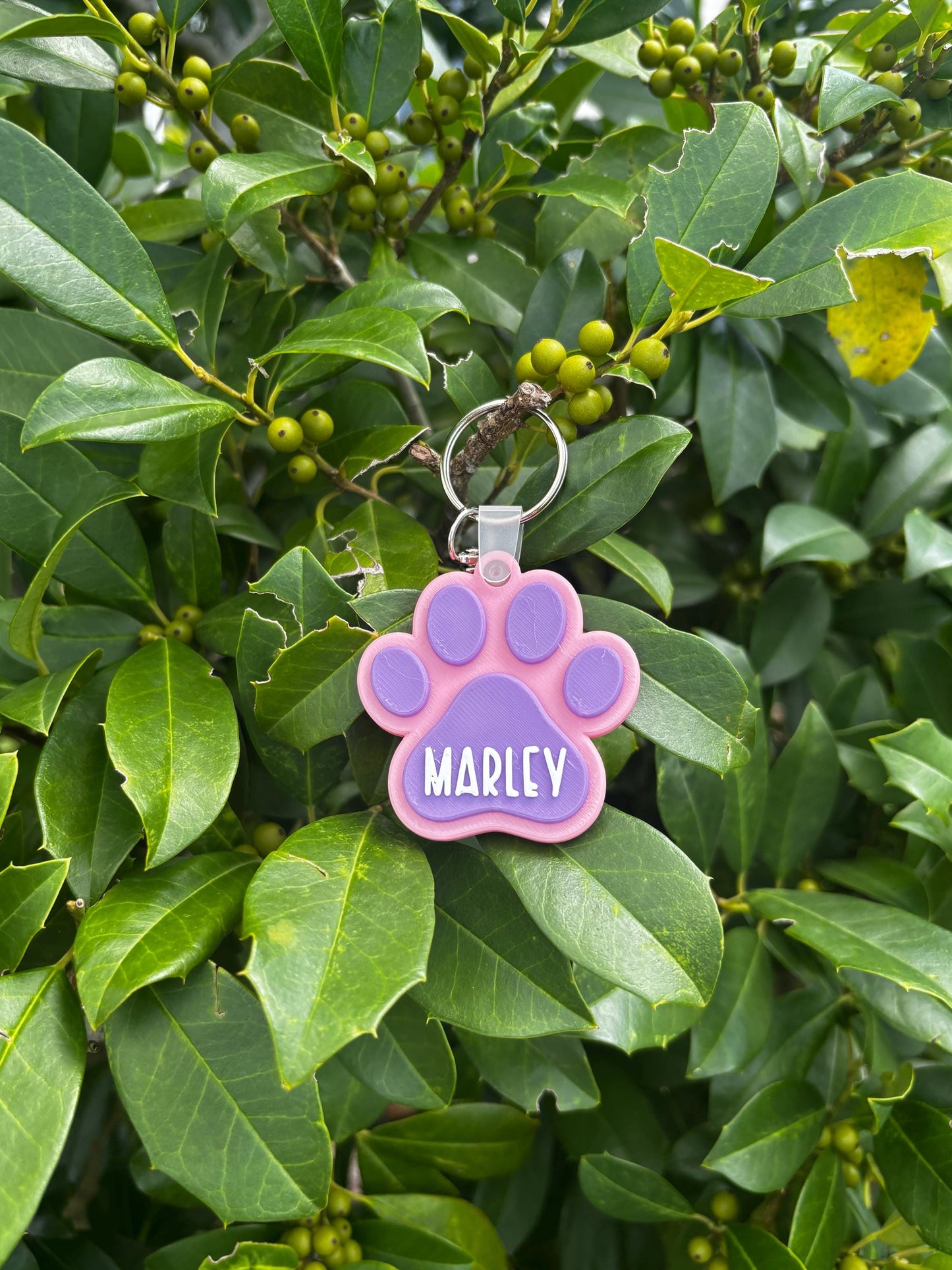 Custom Dog Paw NFC Tag β Pet ID Tag with Owner Contact Info, Tap-to-Connect Smart Pet Tag, Personalized Pet Tag for Dogs & Cats