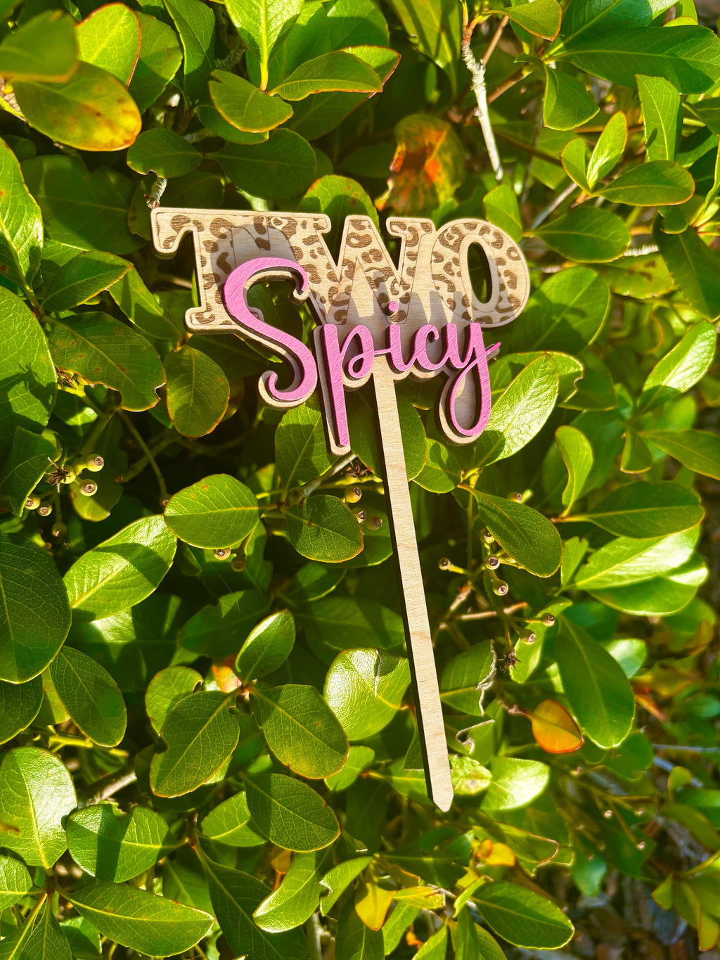 TWO Spicy Cake Topper | Custom | Birthday Cake | Two Year Old