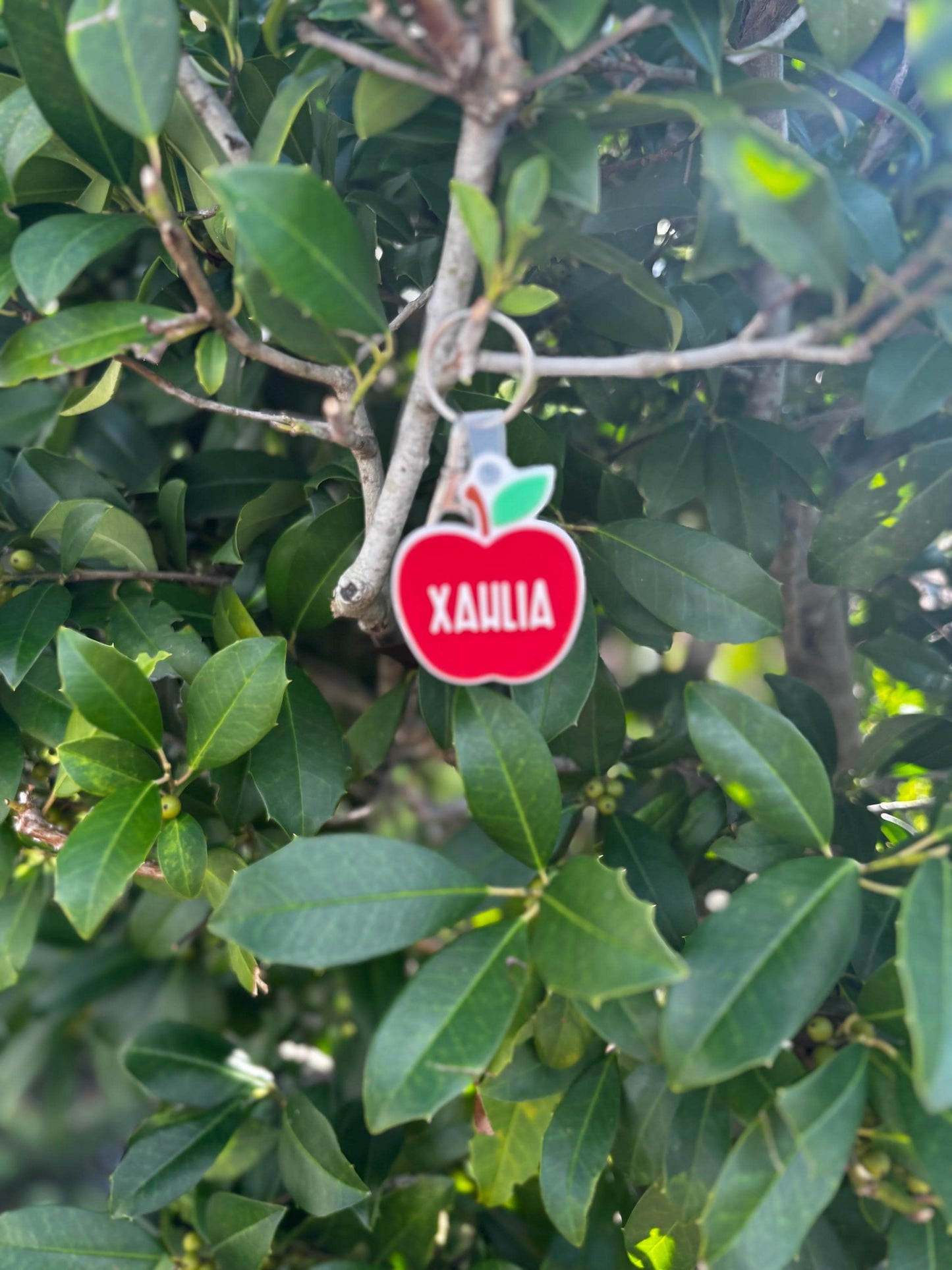 Personalized Apple NFC Tag Keychain | Teacher Gift | Smart Keychain Badge Holder