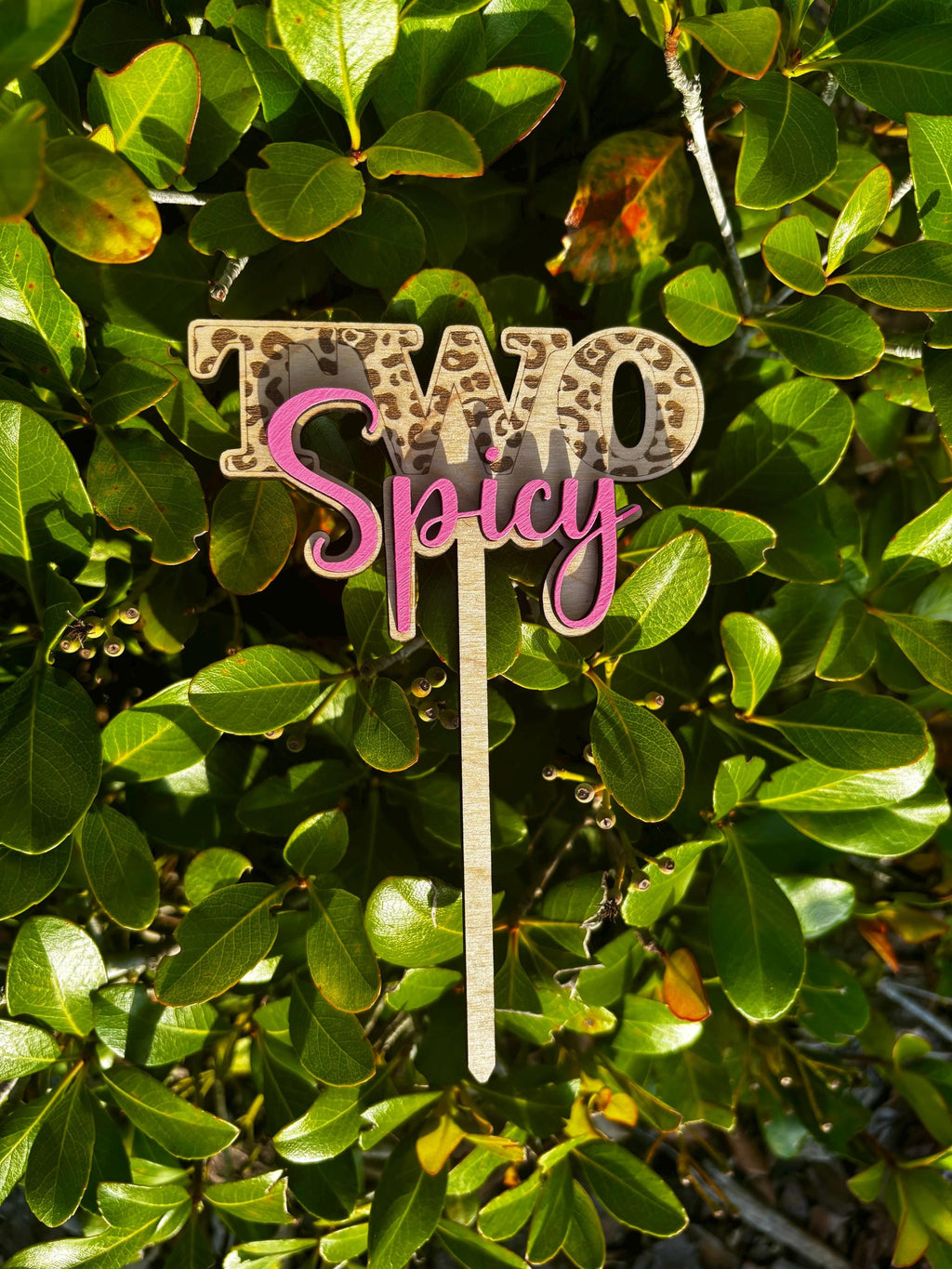 TWO Spicy Cake Topper | Custom | Birthday Cake | Two Year Old