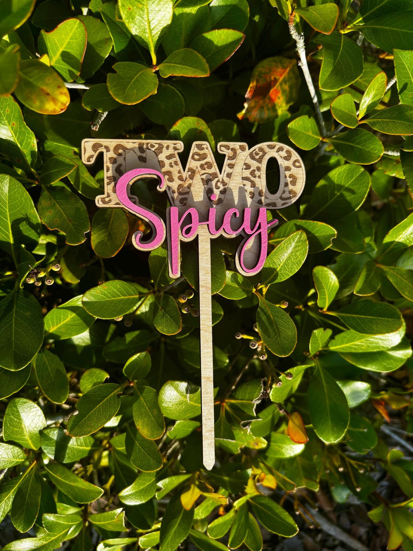 TWO Spicy Cake Topper | Custom | Birthday Cake | Two Year Old