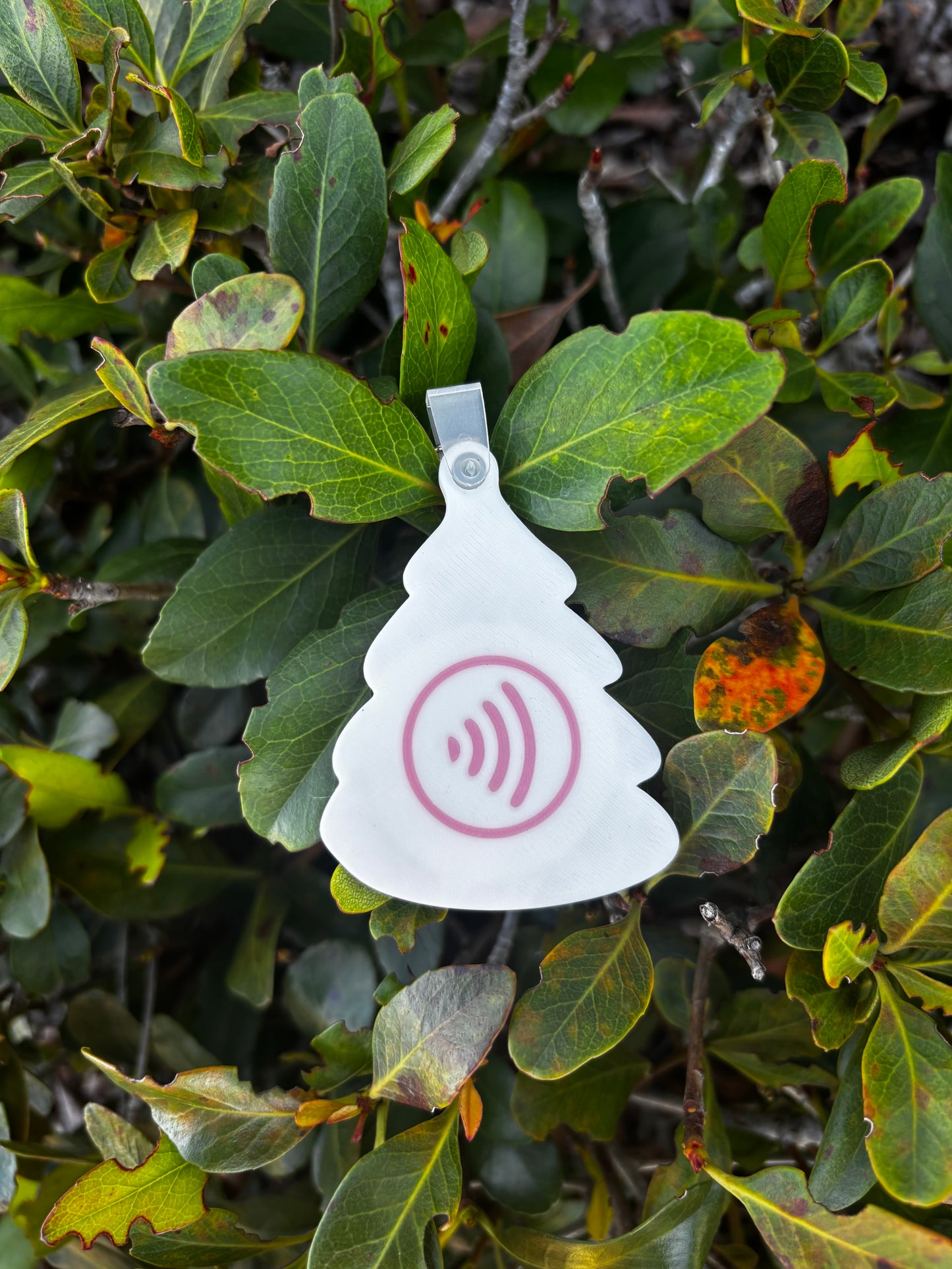 Christmas Cake NFC Tag
