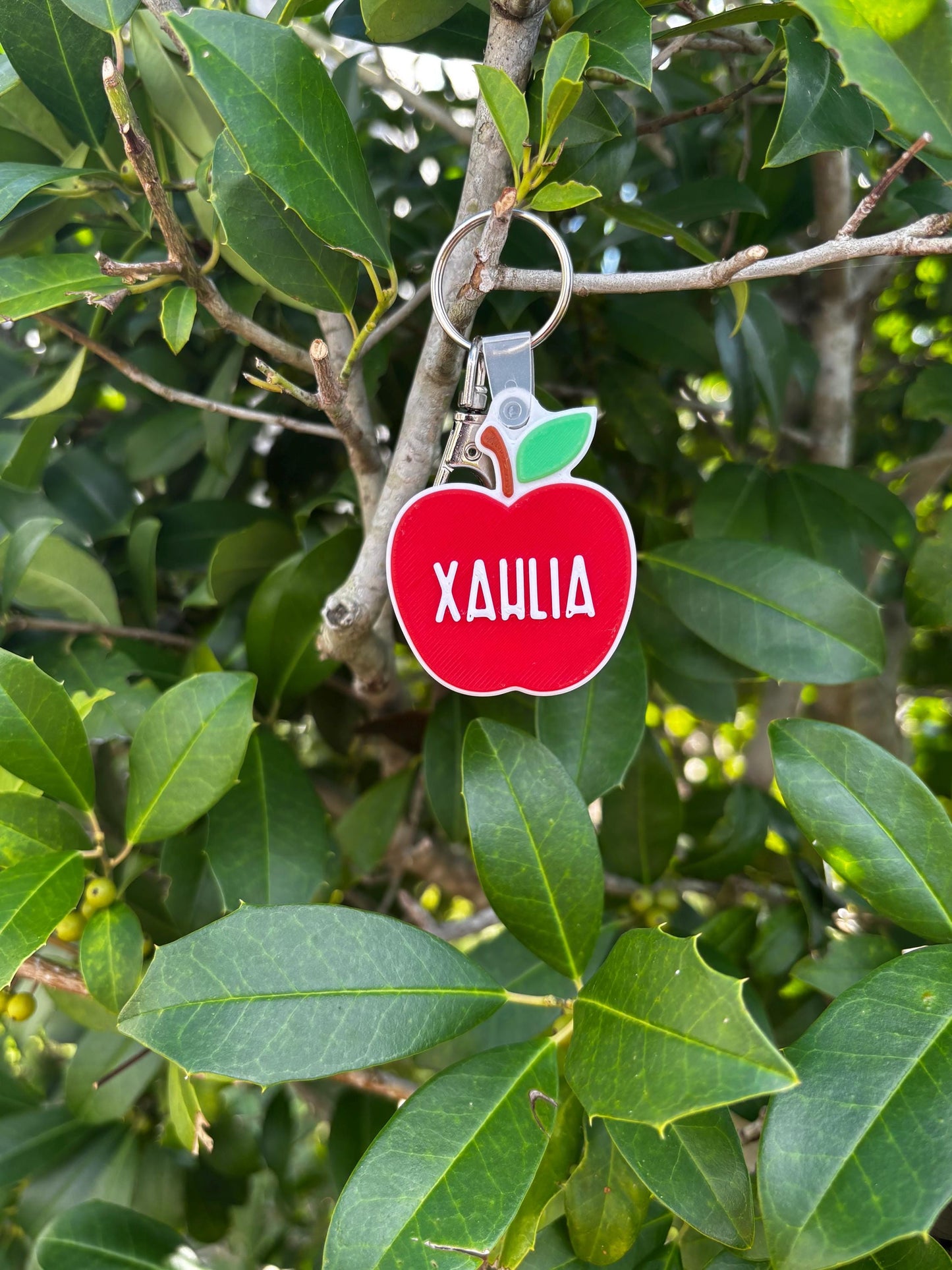 Personalized Apple NFC Tag Keychain | Teacher Gift | Smart Keychain Badge Holder