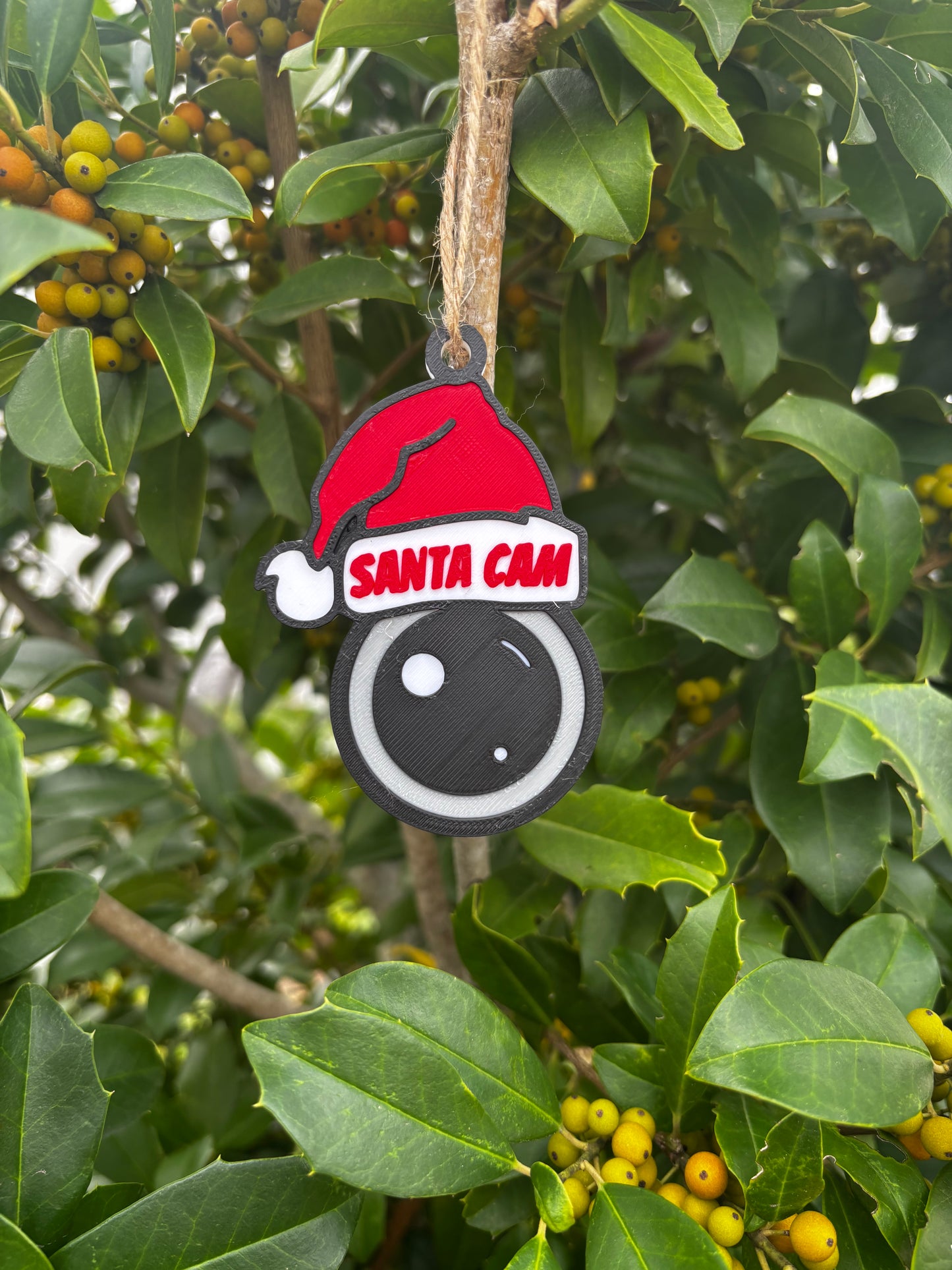 Santa Cam Ornament