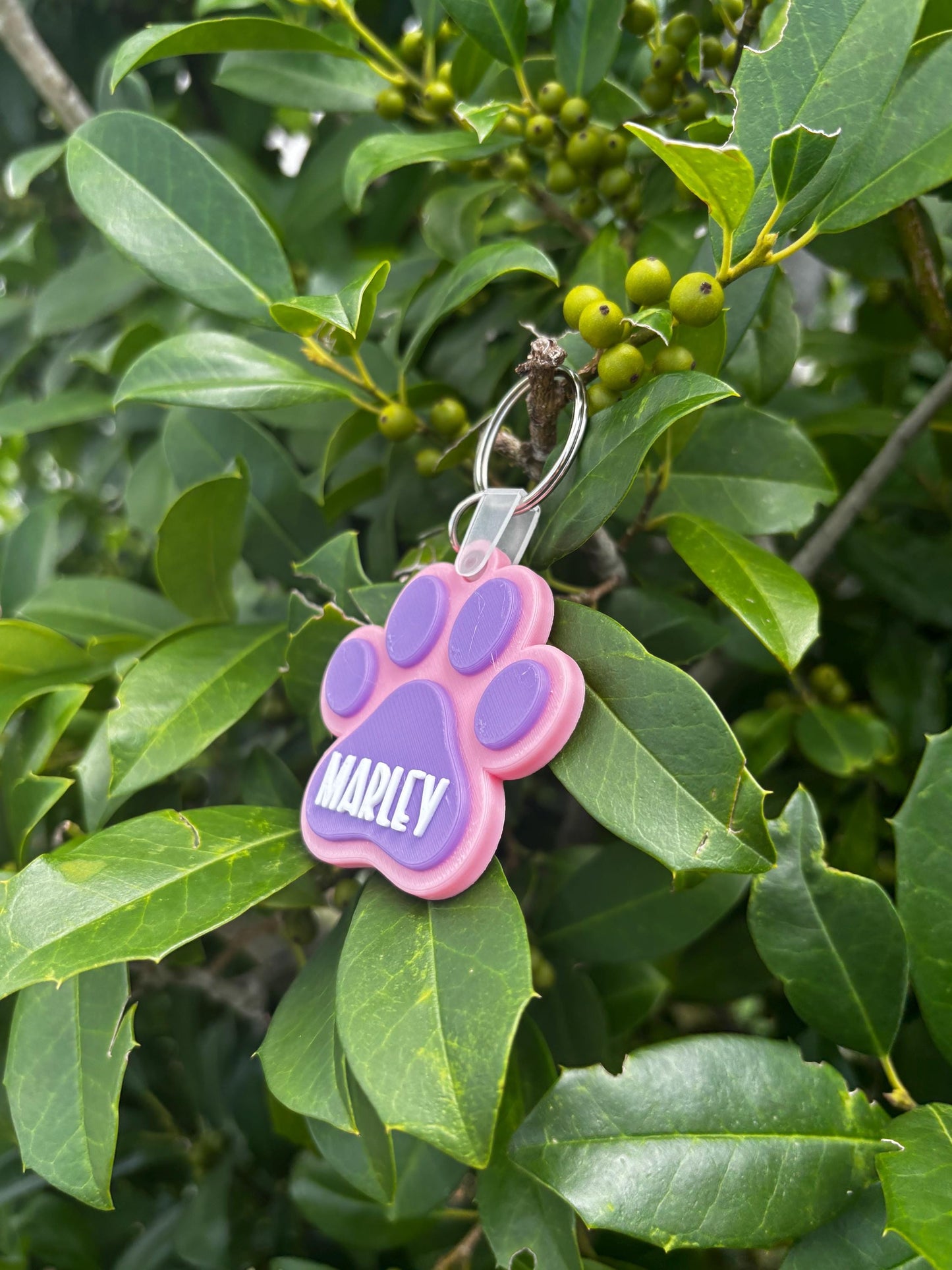 Custom Dog Paw NFC Tag – Pet ID Tag with Owner Contact Info, Tap-to-Connect Smart Pet Tag, Personalized Pet Tag for Dogs & Cats
