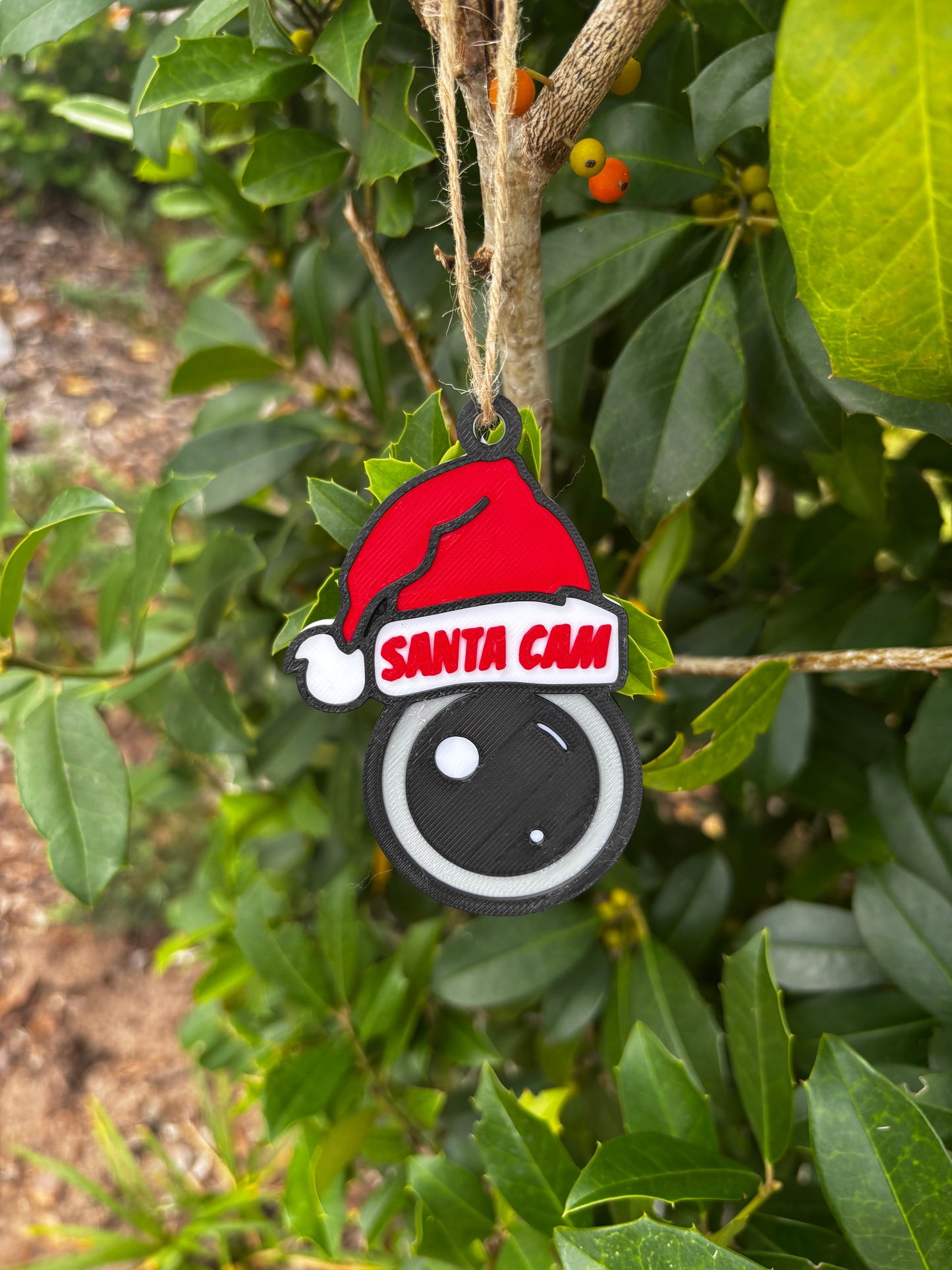 Santa Cam Ornament
