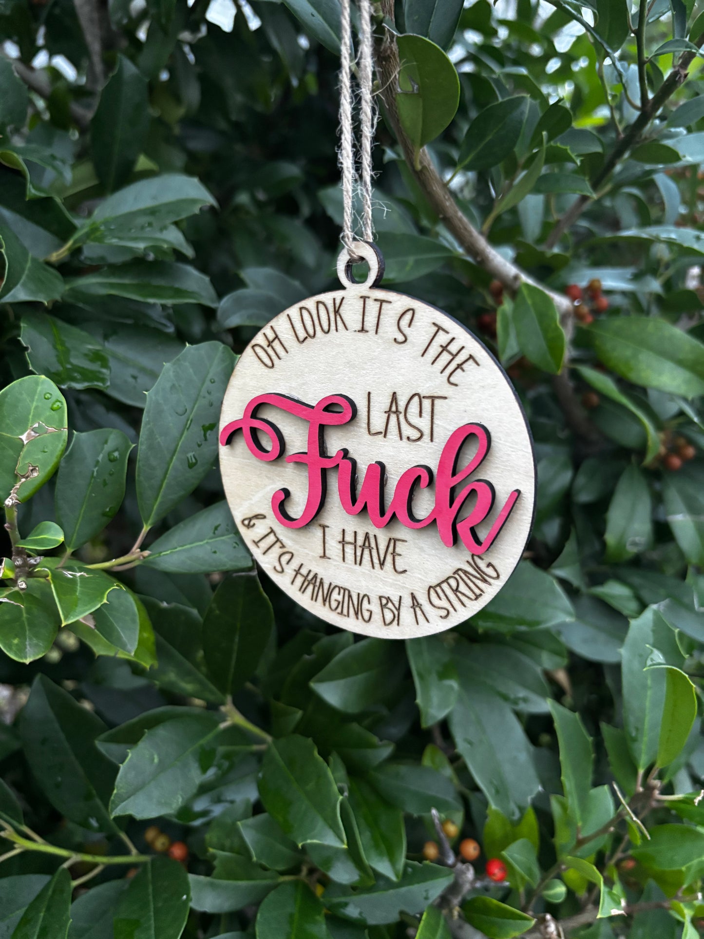 Hanging By A String Humor Ornament