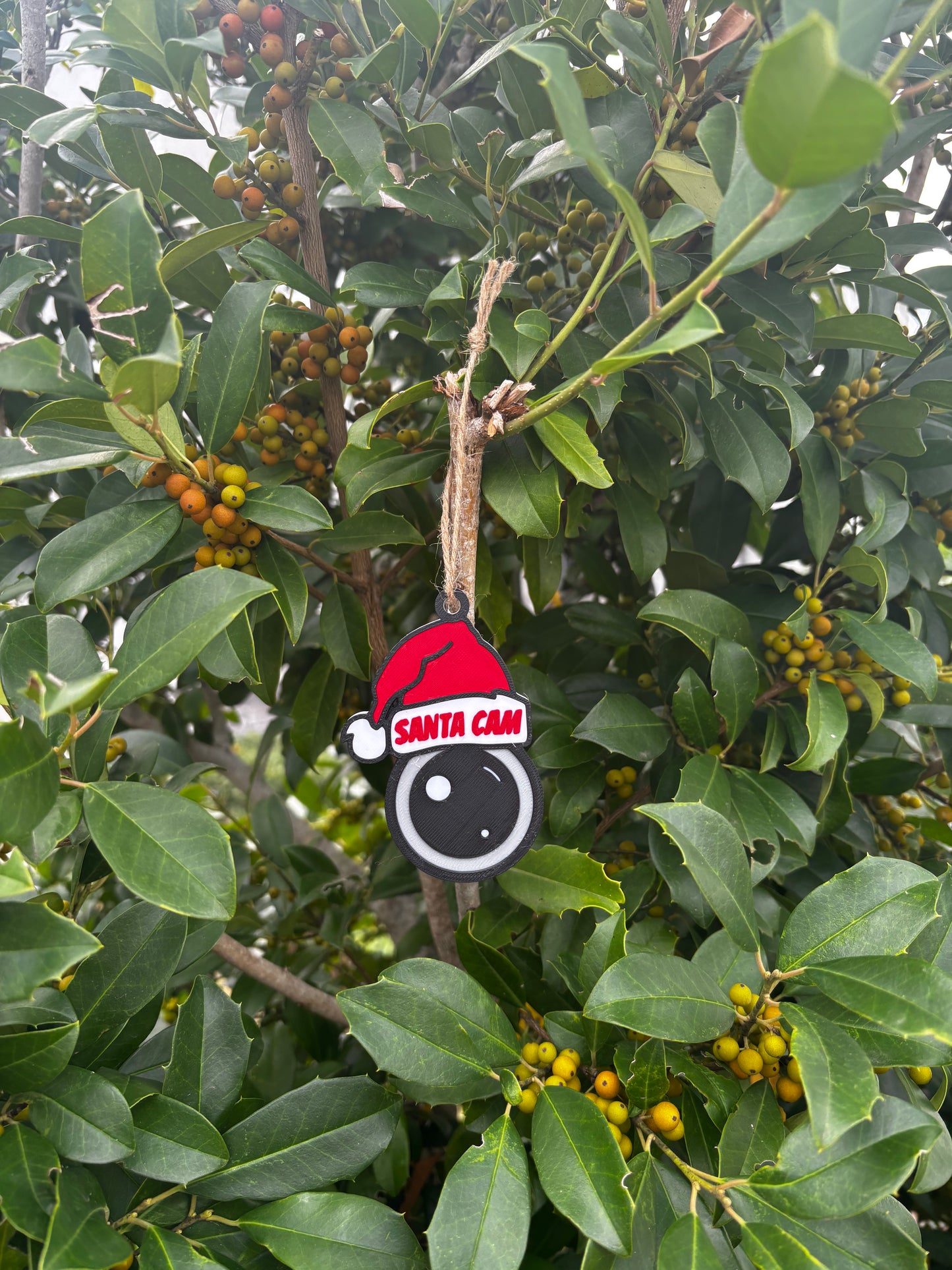 Santa Cam Ornament