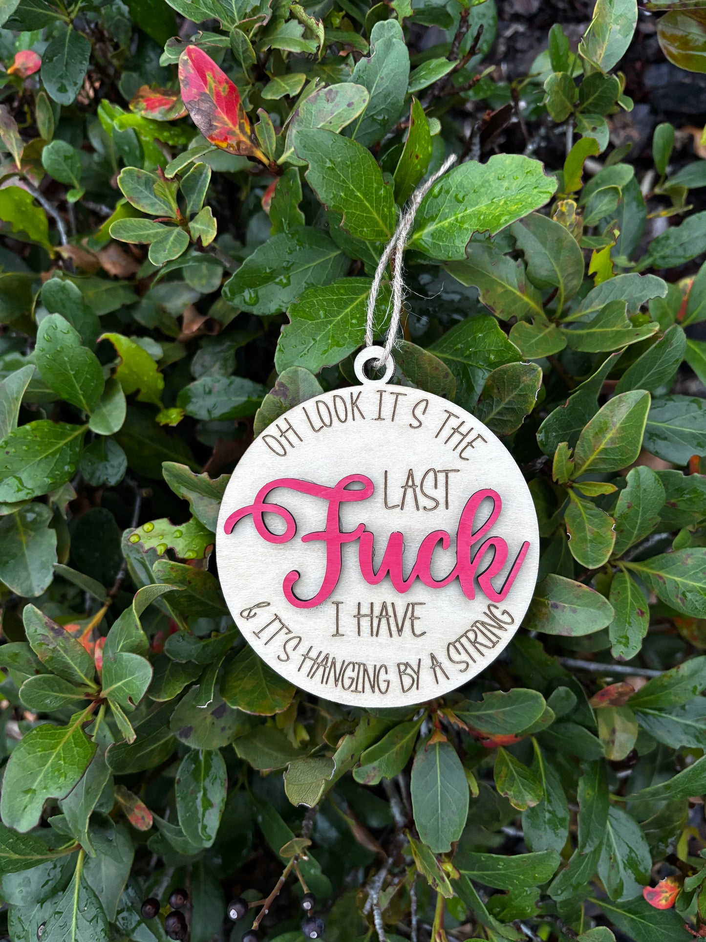 Hanging By A String Humor Ornament