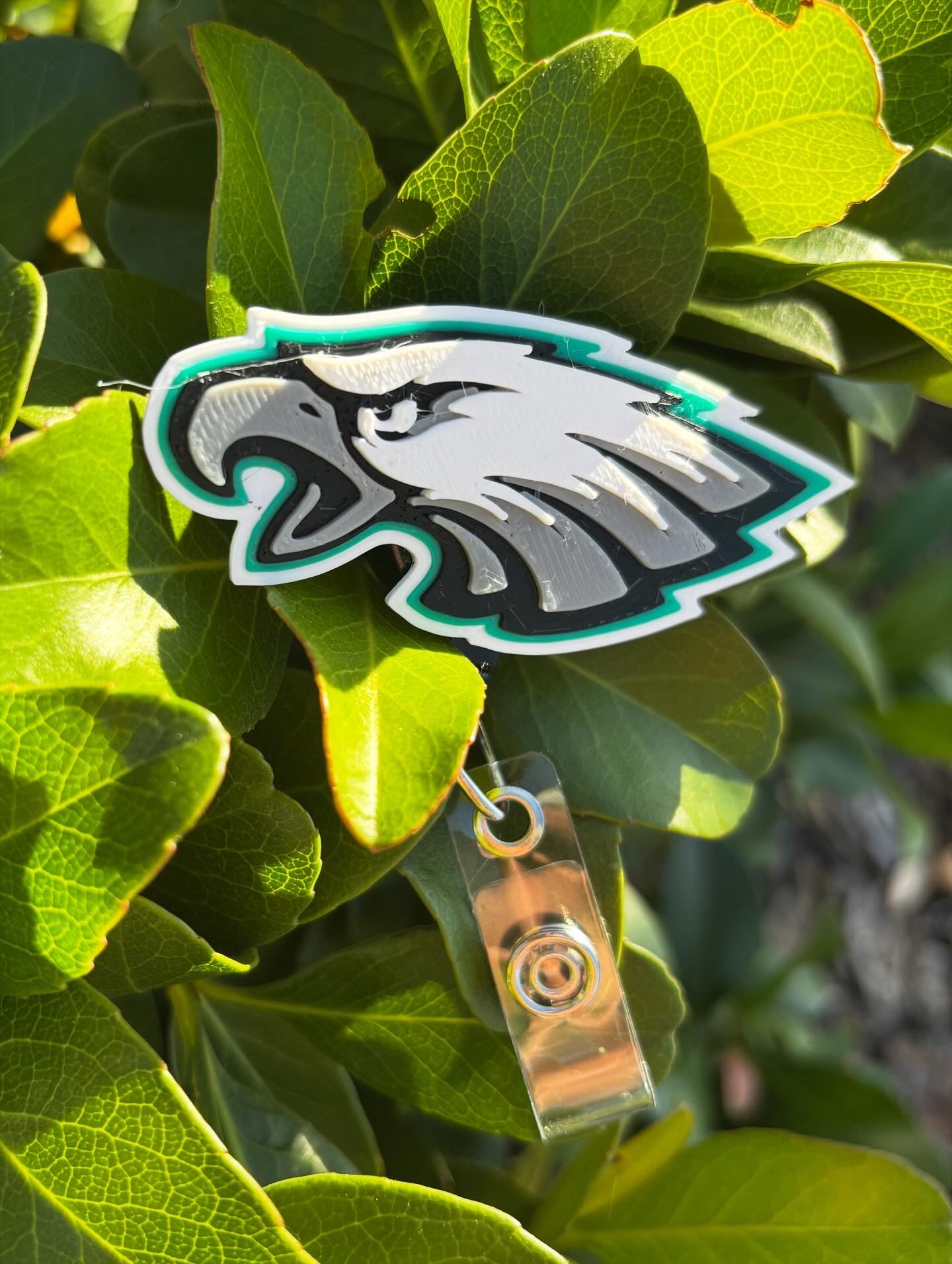 Philadelphia Eagles Badge Reel