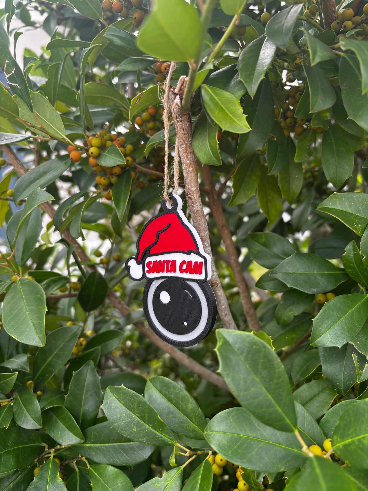Santa Cam Ornament