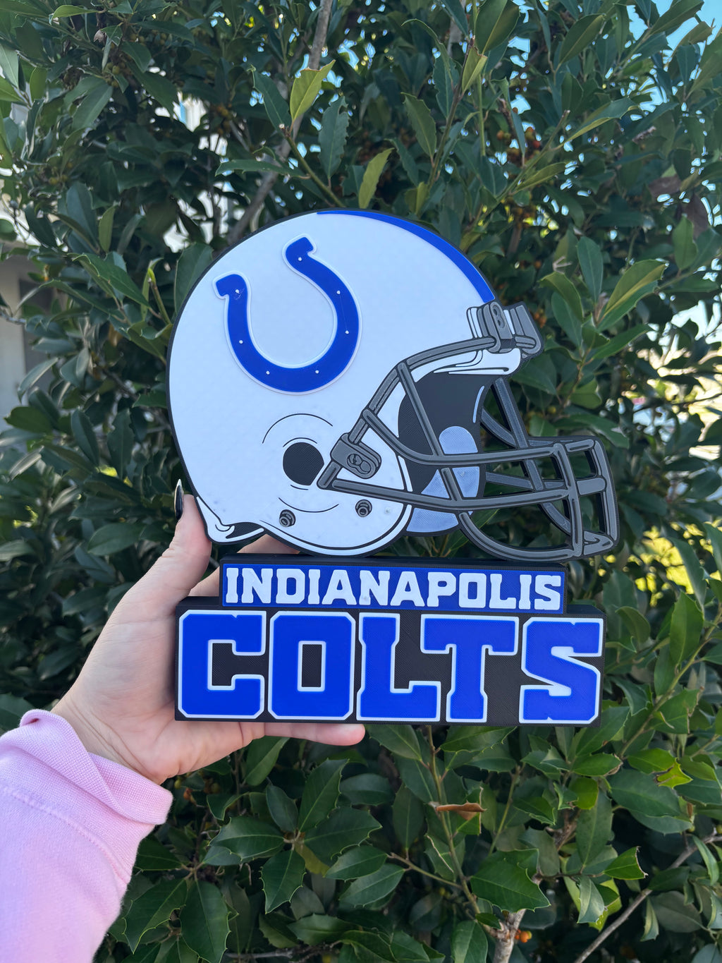 Indianapolis Colts Table/Desk Stand