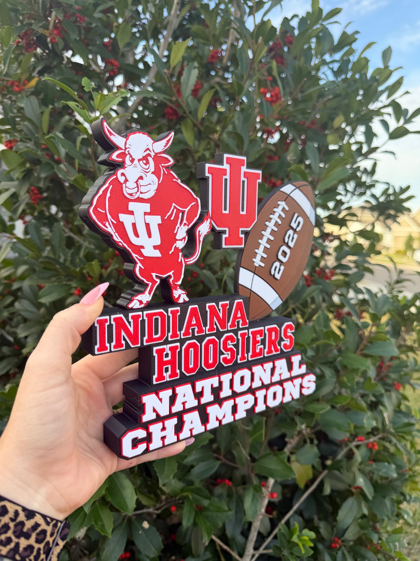 🏆 Indiana Hoosiers National Champions Desk Stand | IU Hoosiers Football Decor | College Football Desk Decor | Game Room Display