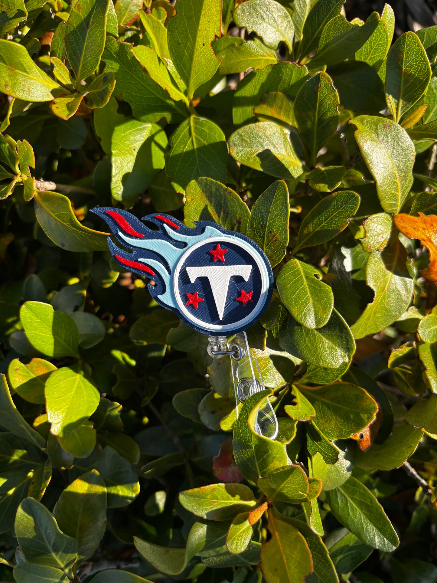 Tennessee Titans Badge Reel