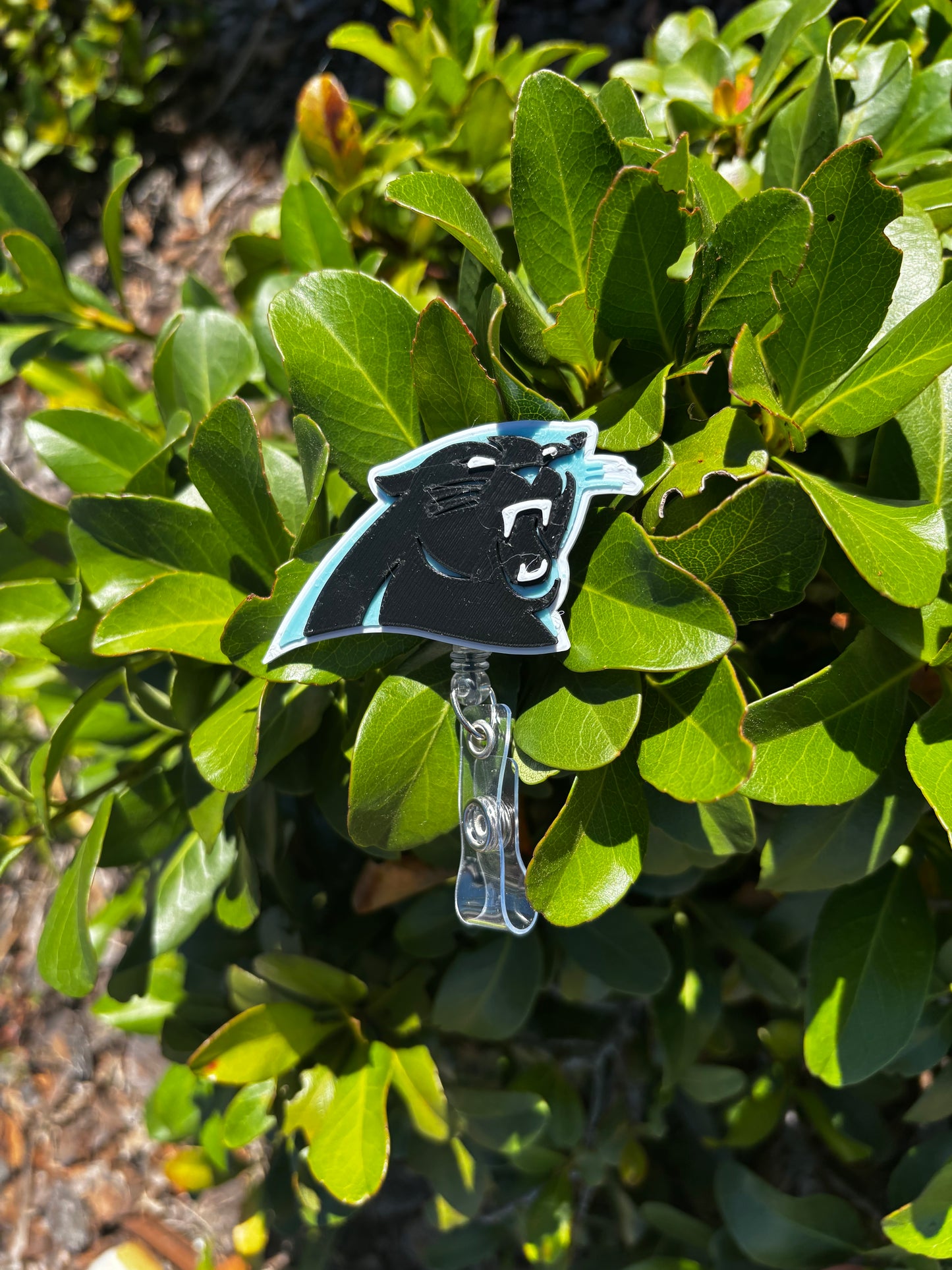 Carolina Panthers Badge Reel