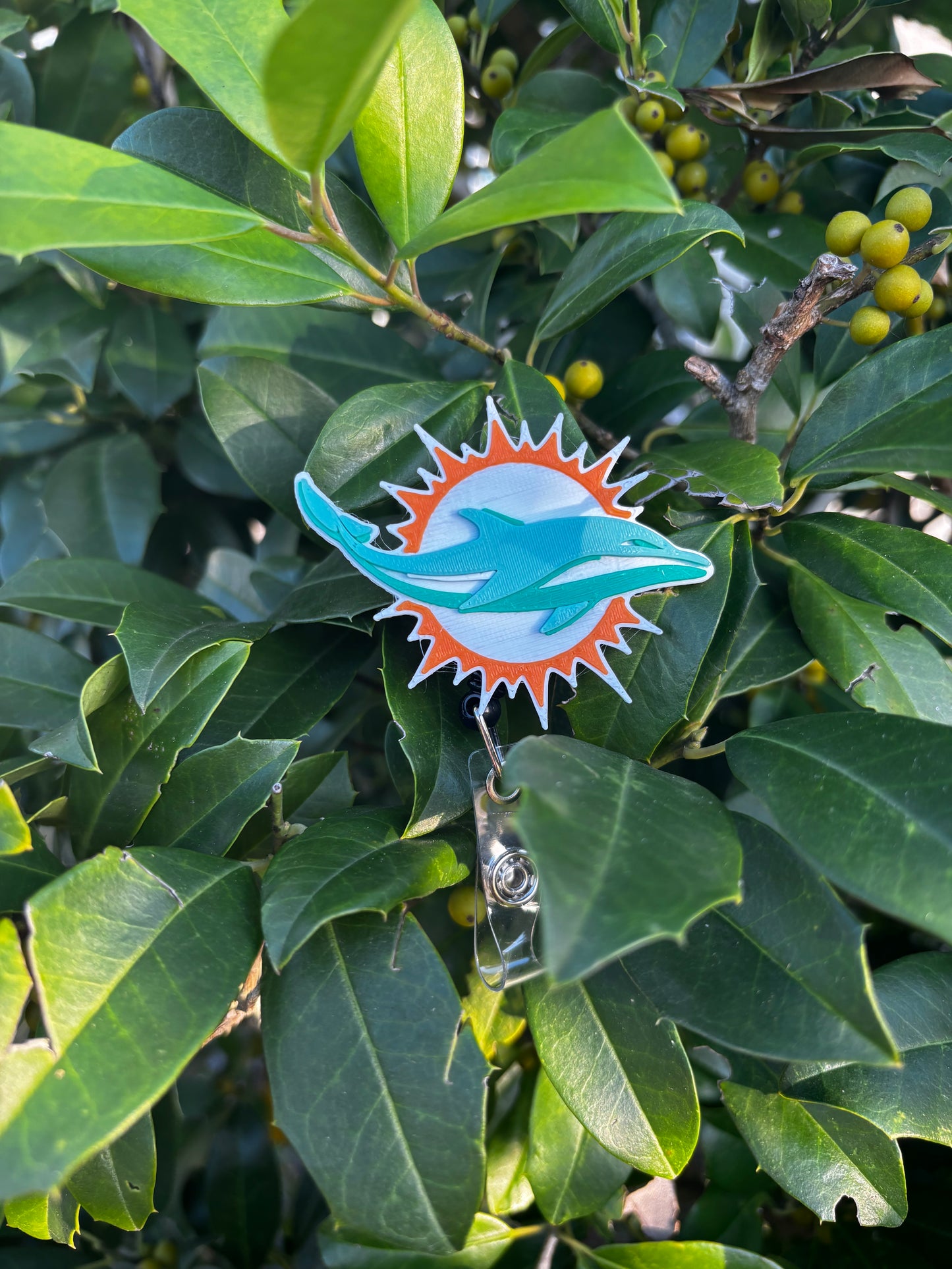 Miami Dolphins Badge Reel