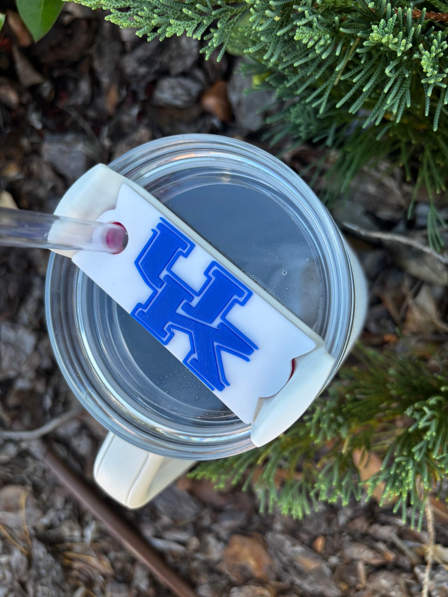 Kentucky Wildcats UK Stanley Topper 30/40oz