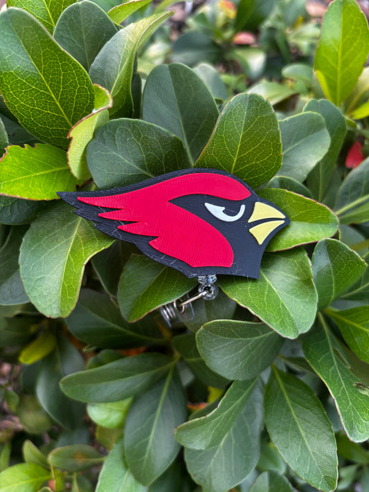 Arizona Cardinals Badge Reel