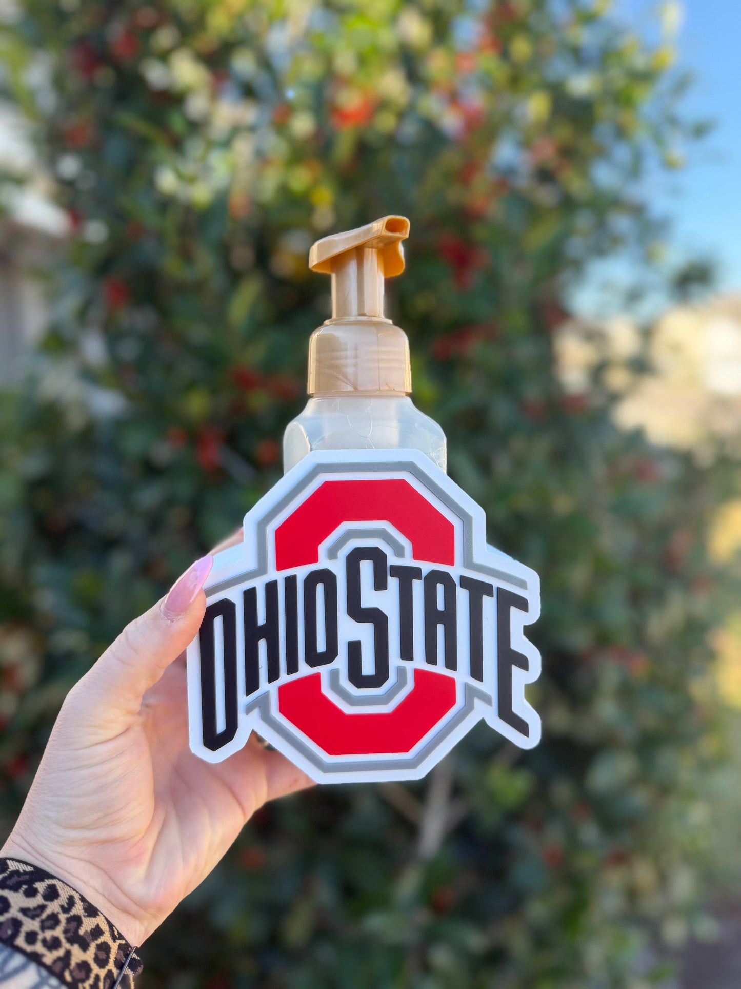 Ohio State Soap Holder 3D Print File | College Football Decor (STL & 3MF Digital Download )