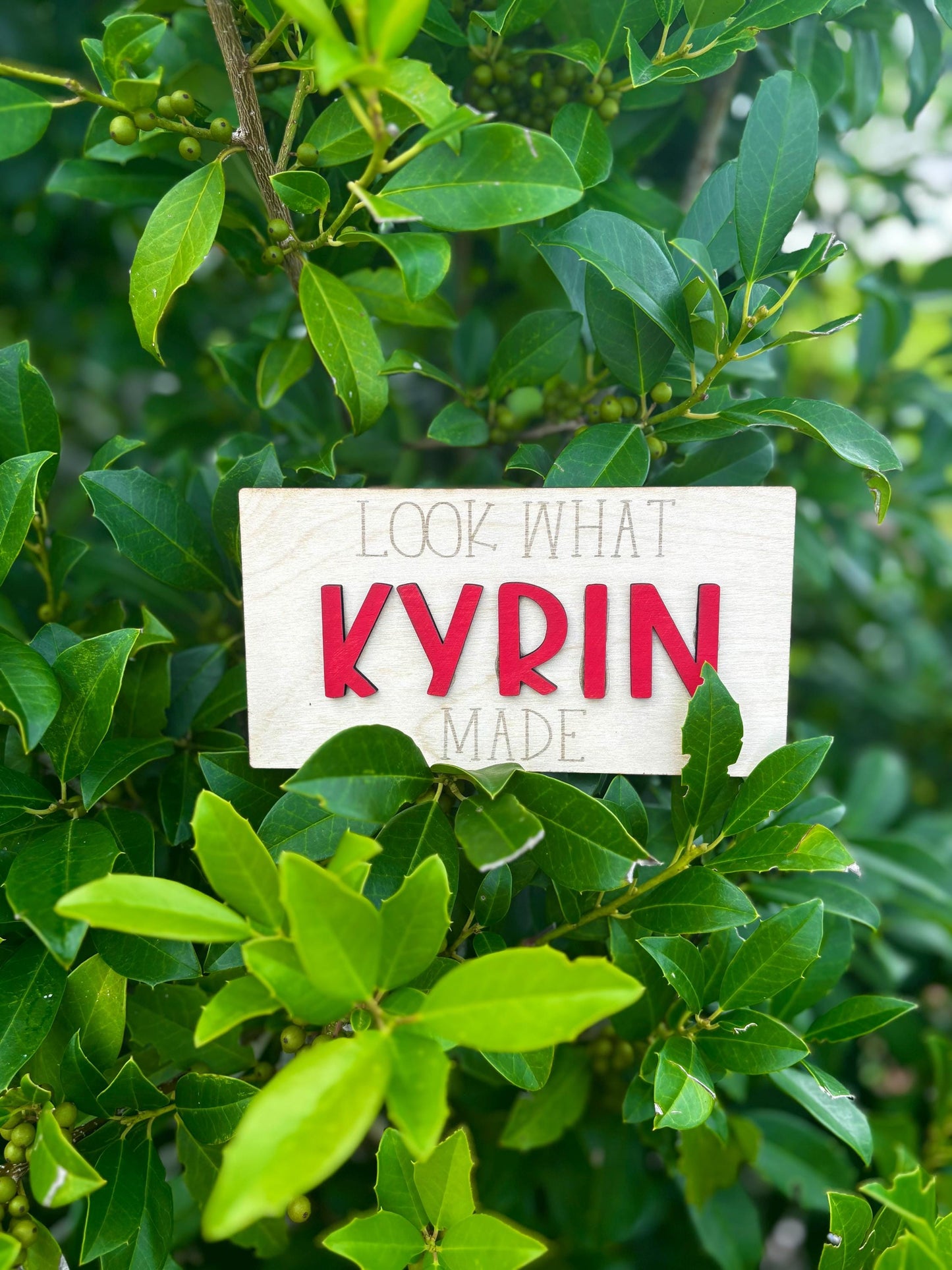 Custom “Look What I Made” Fridge Magnet | Personalized Kids Name Magnet for Artwork Display | Fridge Art Holder | Child Art Gift