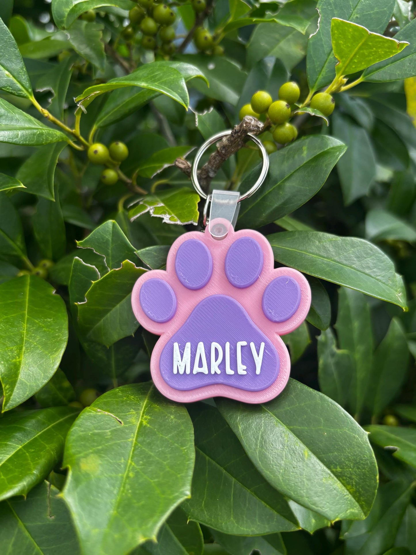 Custom Dog Paw NFC Tag – Pet ID Tag with Owner Contact Info, Tap-to-Connect Smart Pet Tag, Personalized Pet Tag for Dogs & Cats
