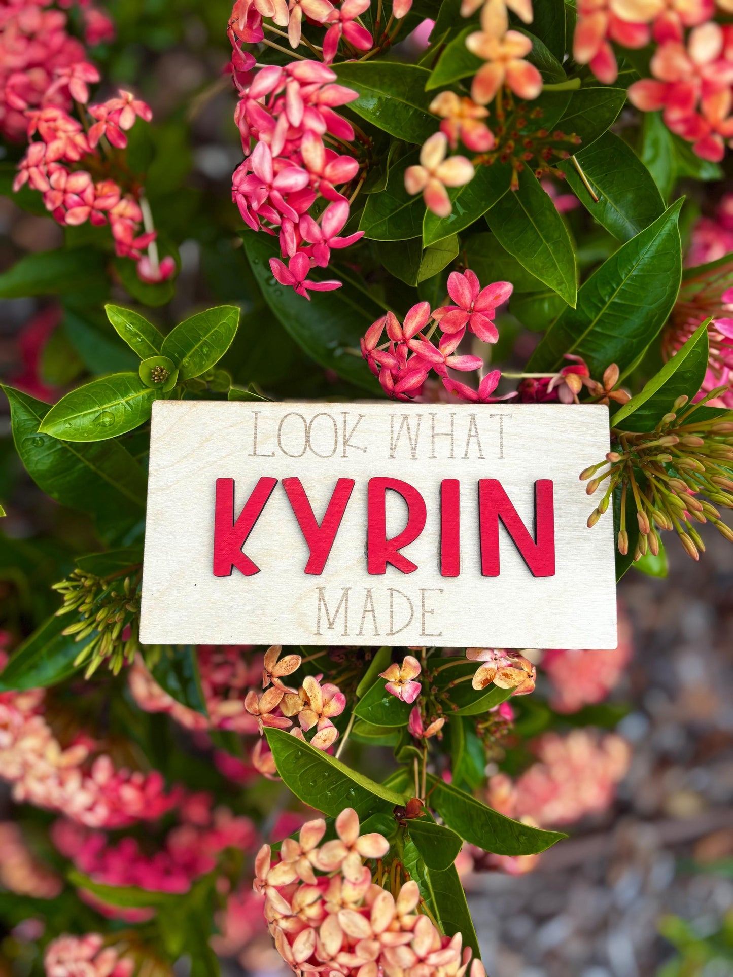 Custom “Look What I Made” Fridge Magnet | Personalized Kids Name Magnet for Artwork Display | Fridge Art Holder | Child Art Gift